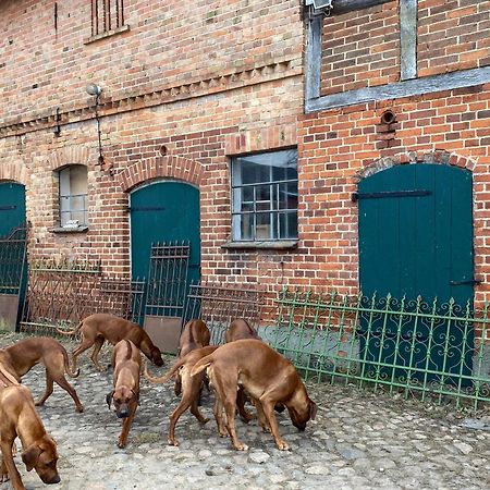 Bauernhof-Streichel-Zoo-Kombi-Familien-Suite-Im-Wald-Am-See Gulow Εξωτερικό φωτογραφία