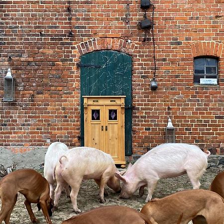 Bauernhof-Streichel-Zoo-Kombi-Familien-Suite-Im-Wald-Am-See Gulow Εξωτερικό φωτογραφία