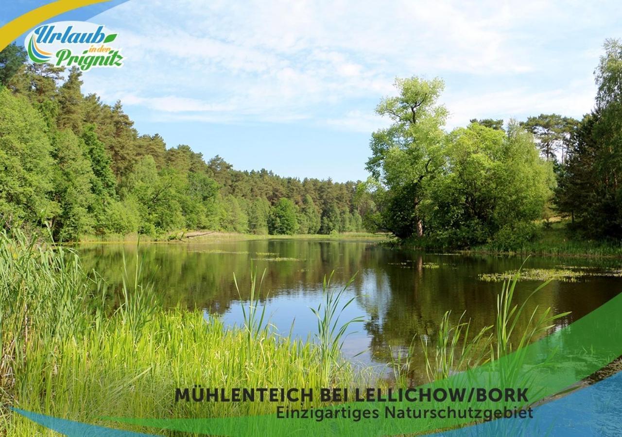 Bauernhof-Streichel-Zoo-Kombi-Familien-Suite-Im-Wald-Am-See Gulow Εξωτερικό φωτογραφία