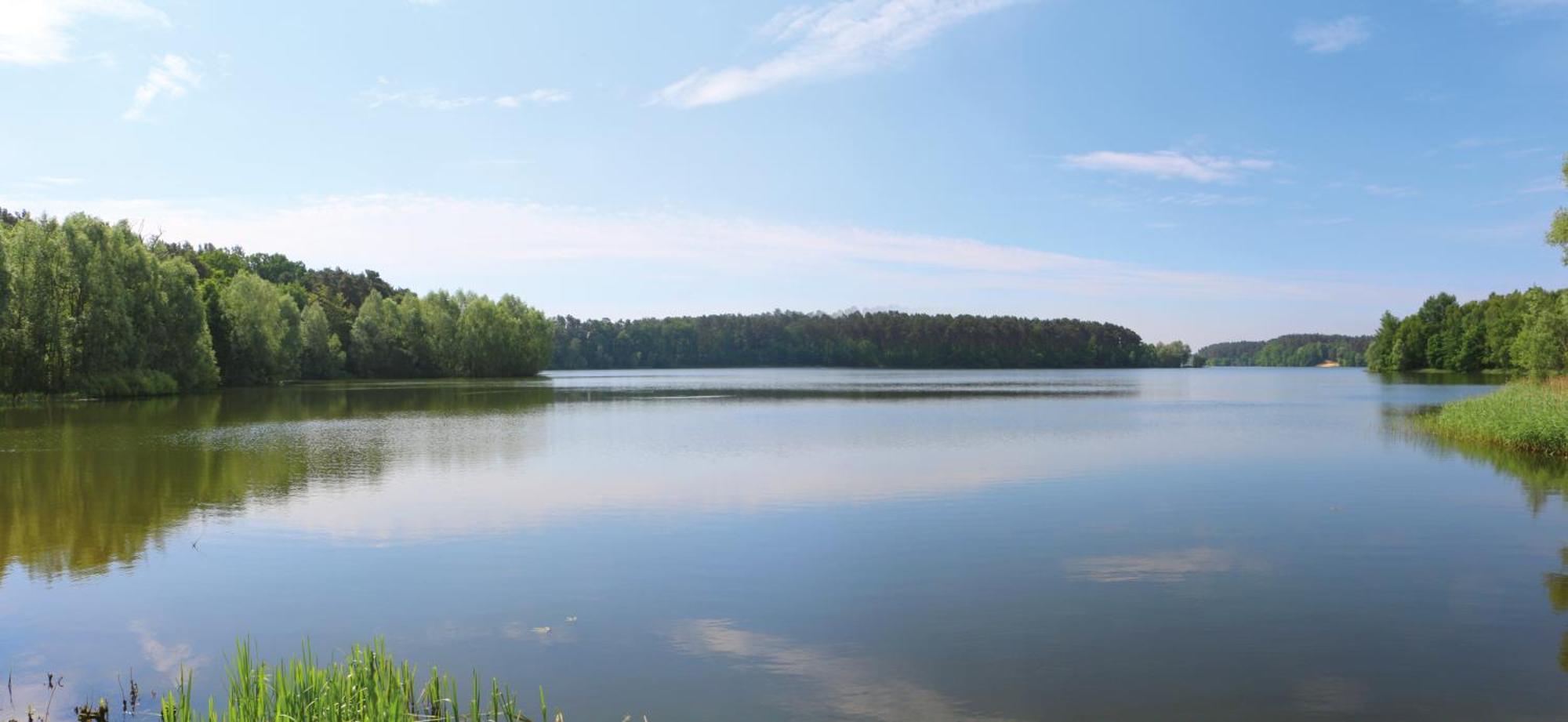 Bauernhof-Streichel-Zoo-Kombi-Familien-Suite-Im-Wald-Am-See Gulow Εξωτερικό φωτογραφία