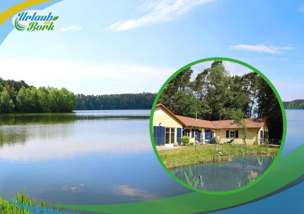 Bauernhof-Streichel-Zoo-Kombi-Familien-Suite-Im-Wald-Am-See Gulow Εξωτερικό φωτογραφία